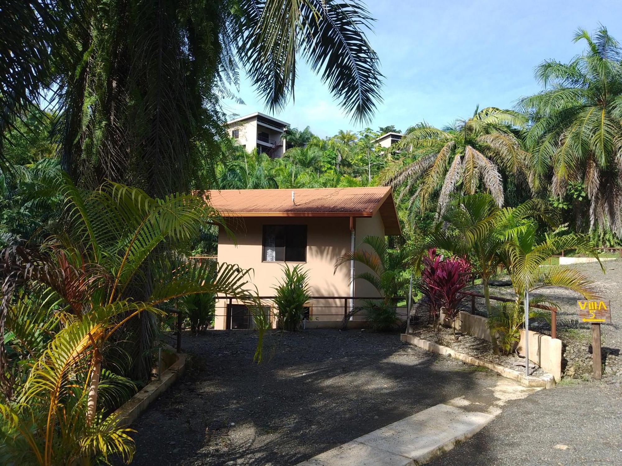 Osa Private Renting House-Villas-Tented-Best Views-Nature-Comfort Puerto Jiménez Exteriér fotografie