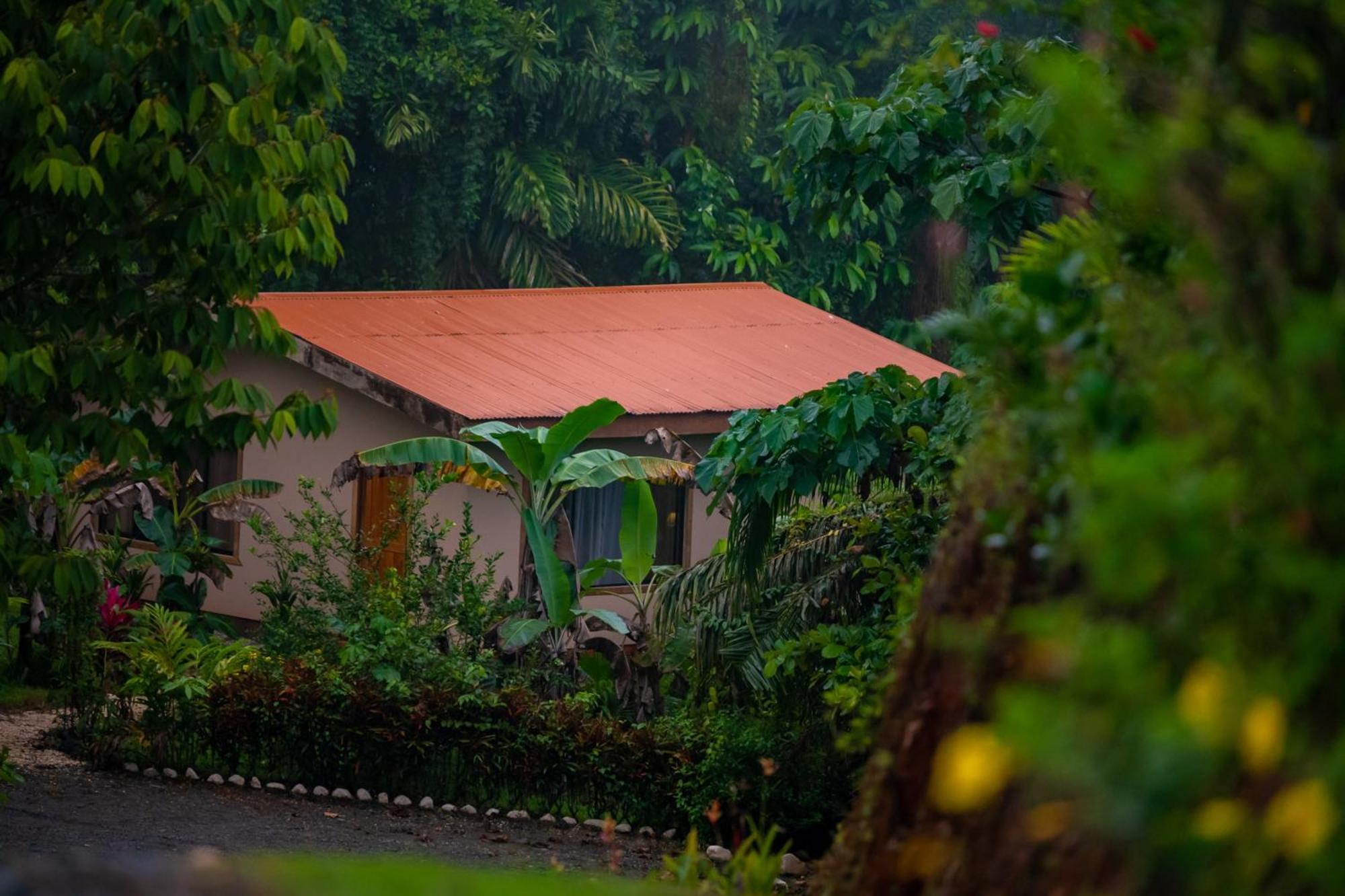 Osa Private Renting House-Villas-Tented-Best Views-Nature-Comfort Puerto Jiménez Exteriér fotografie