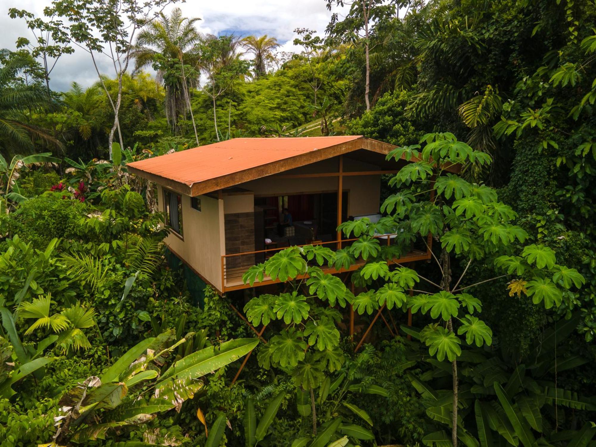 Osa Private Renting House-Villas-Tented-Best Views-Nature-Comfort Puerto Jiménez Exteriér fotografie